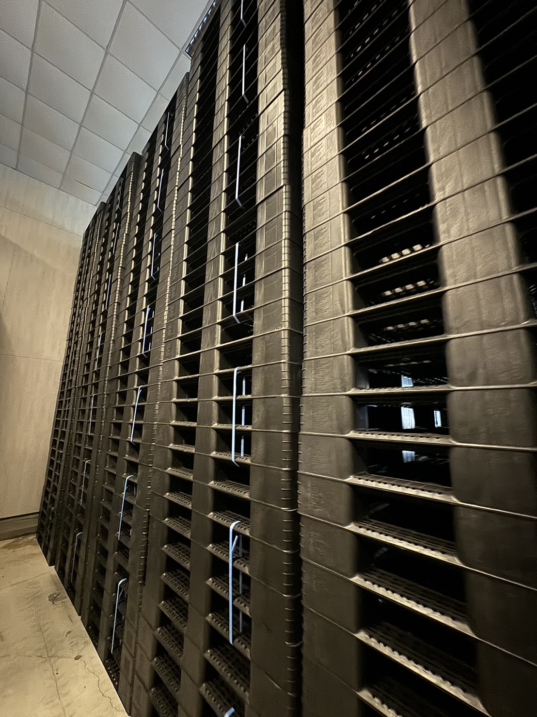 2025年全球棧板市場趨勢分析：新興技術與區域差異洞察｜南台塑膠有限公司